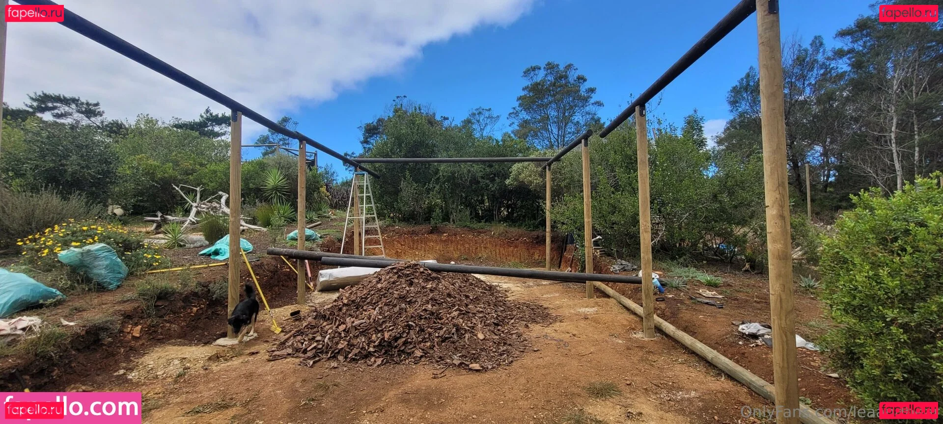 leaandbear Onlyfans Photo Gallery 