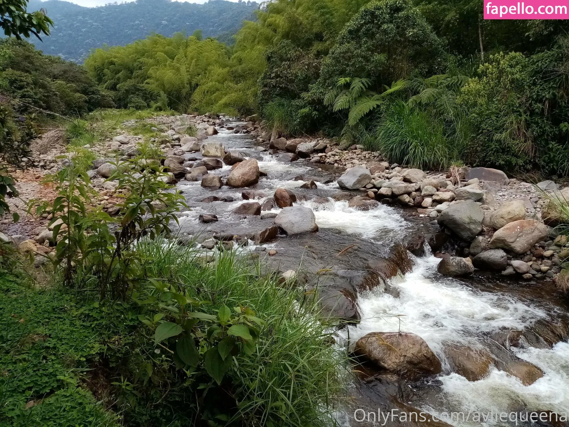 avliequeena Onlyfans Photo Gallery 