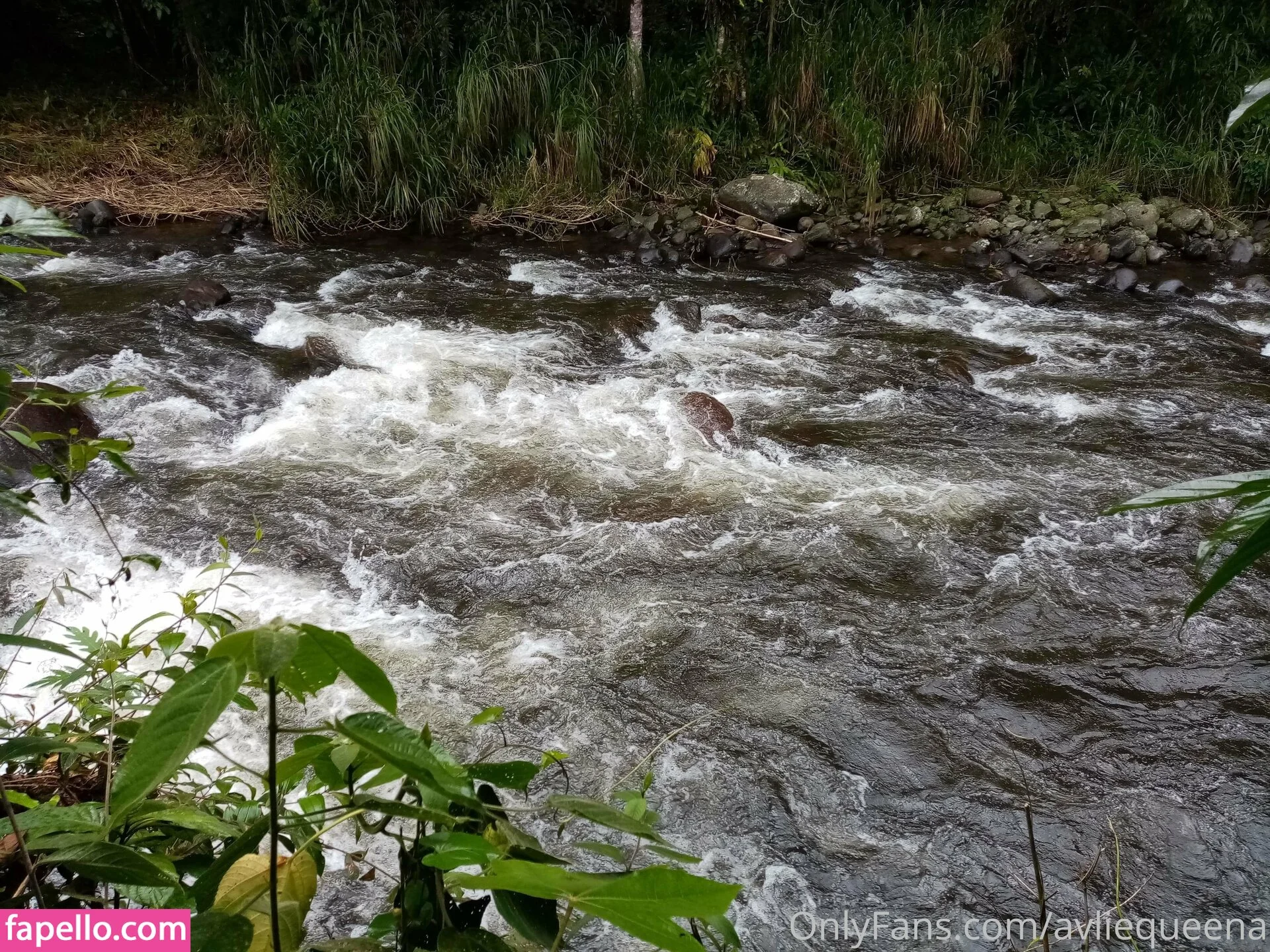 avliequeena Onlyfans Photo Gallery 