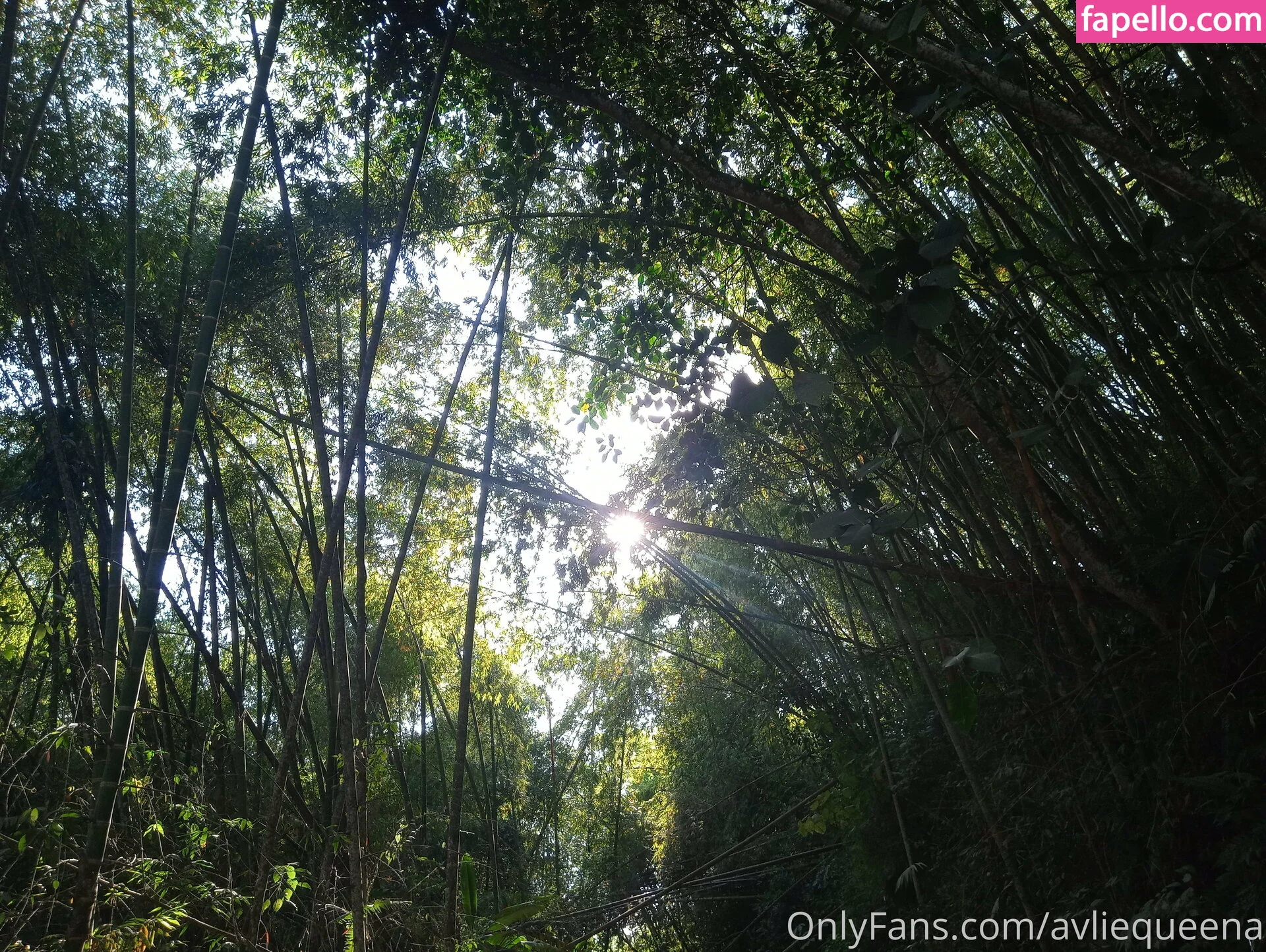 avliequeena Onlyfans Photo Gallery 