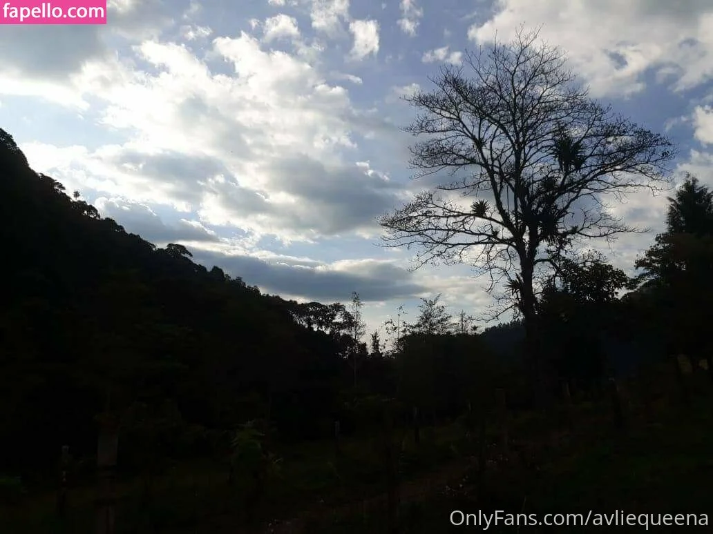 avliequeena Onlyfans Photo Gallery 