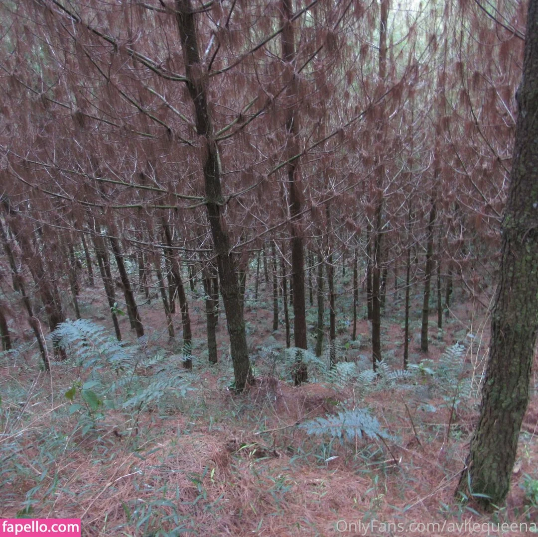 avliequeena Onlyfans Photo Gallery 