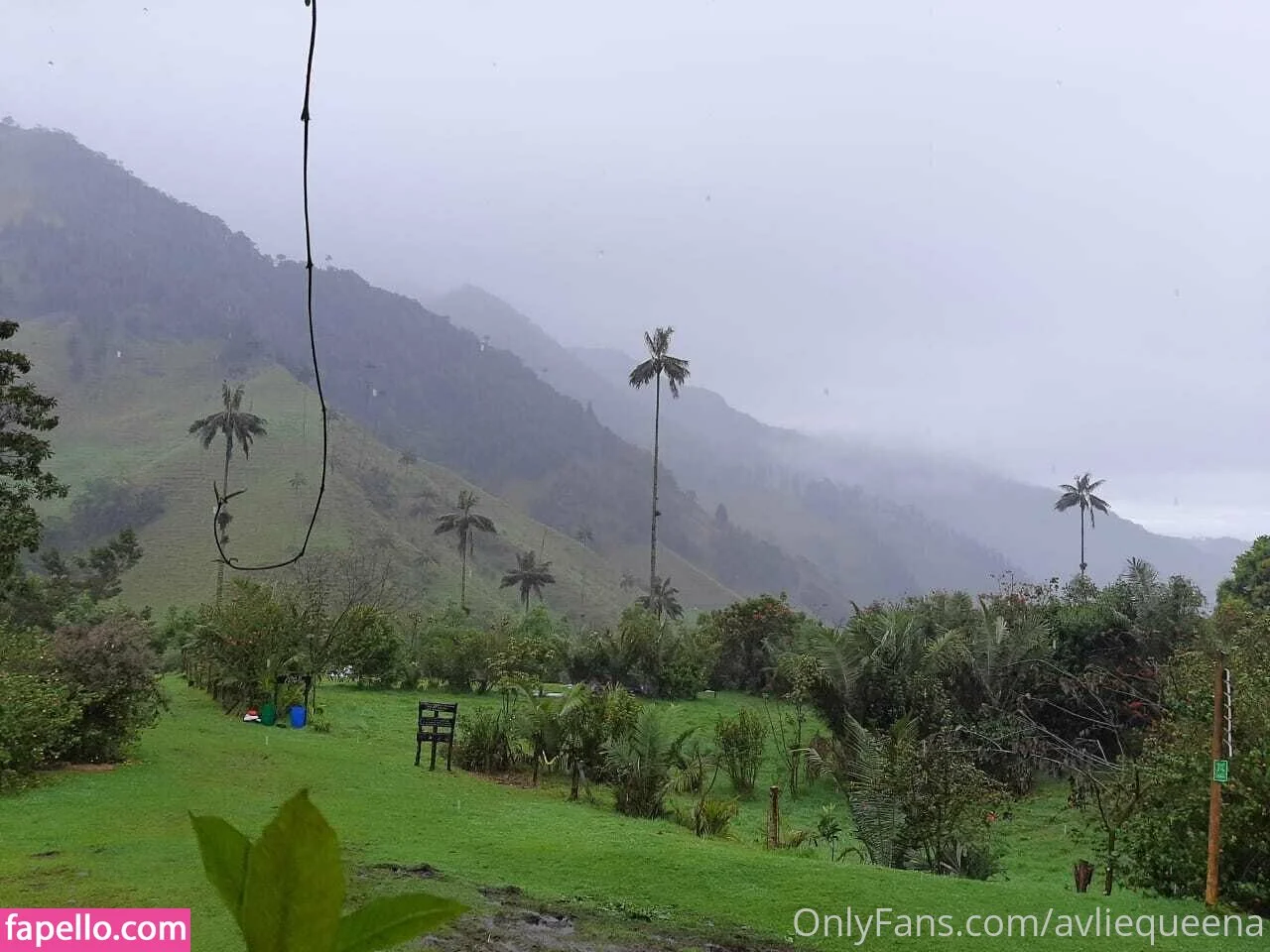 avliequeena Onlyfans Photo Gallery 