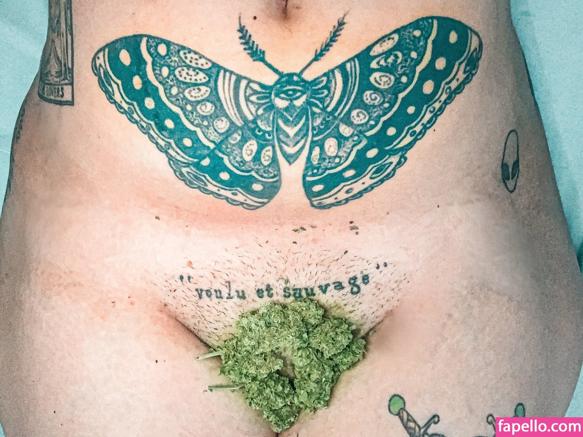 pimenta Onlyfans Photo Gallery 