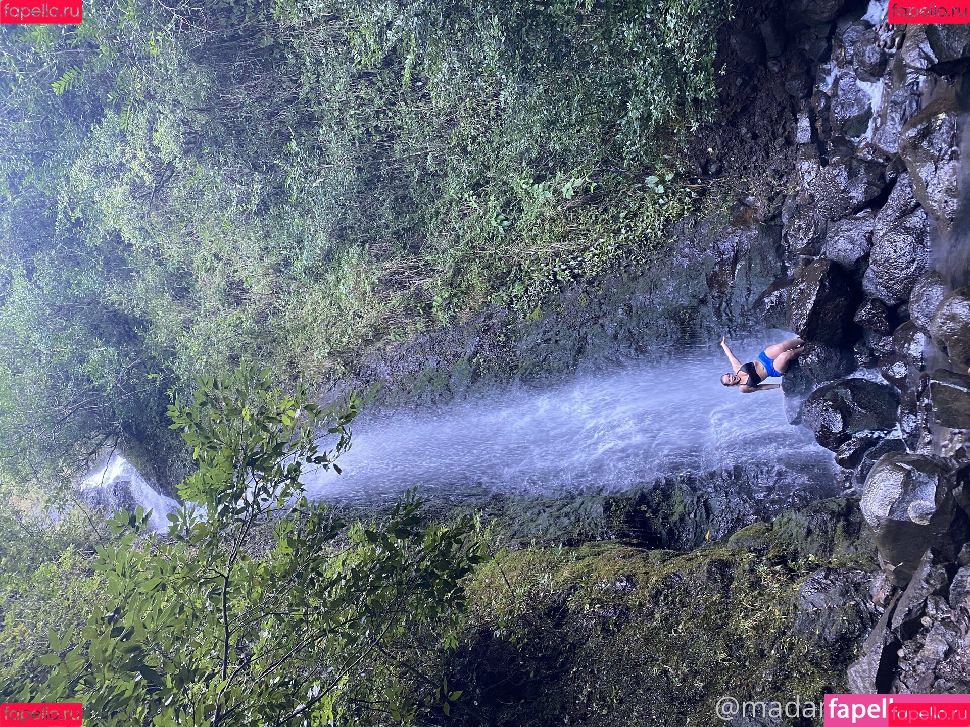 thecurvyqueen01 Onlyfans Photo Gallery 