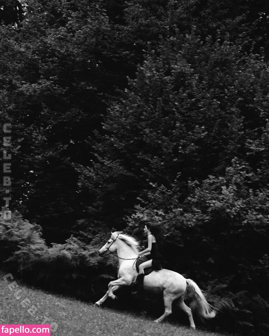 anfr00 Onlyfans Photo Gallery 