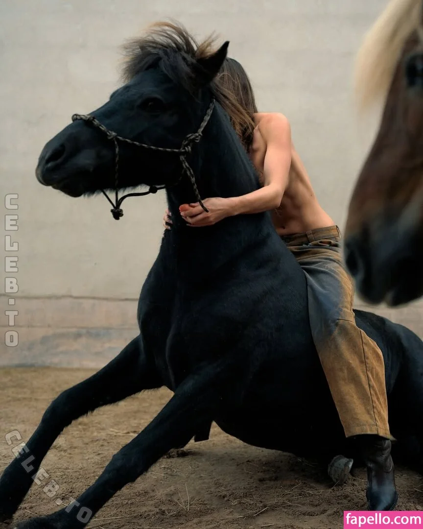 anfr00 Onlyfans Photo Gallery 