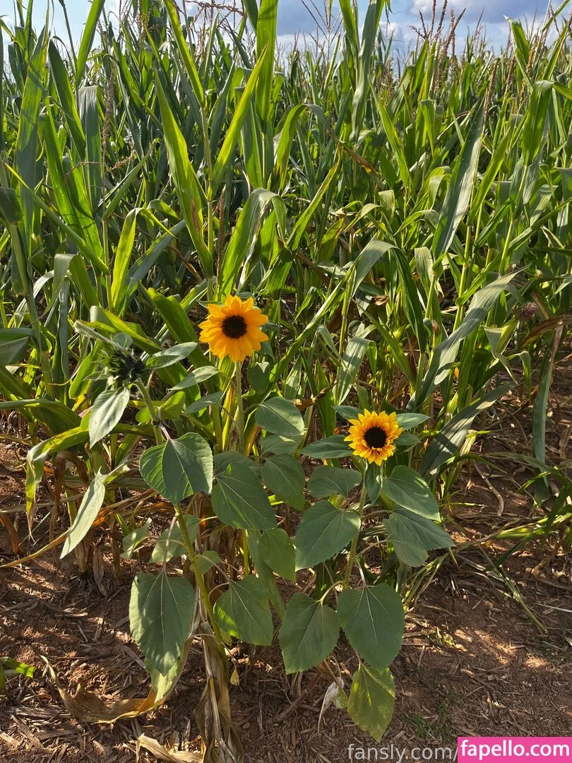 deadpixies Onlyfans Photo Gallery 