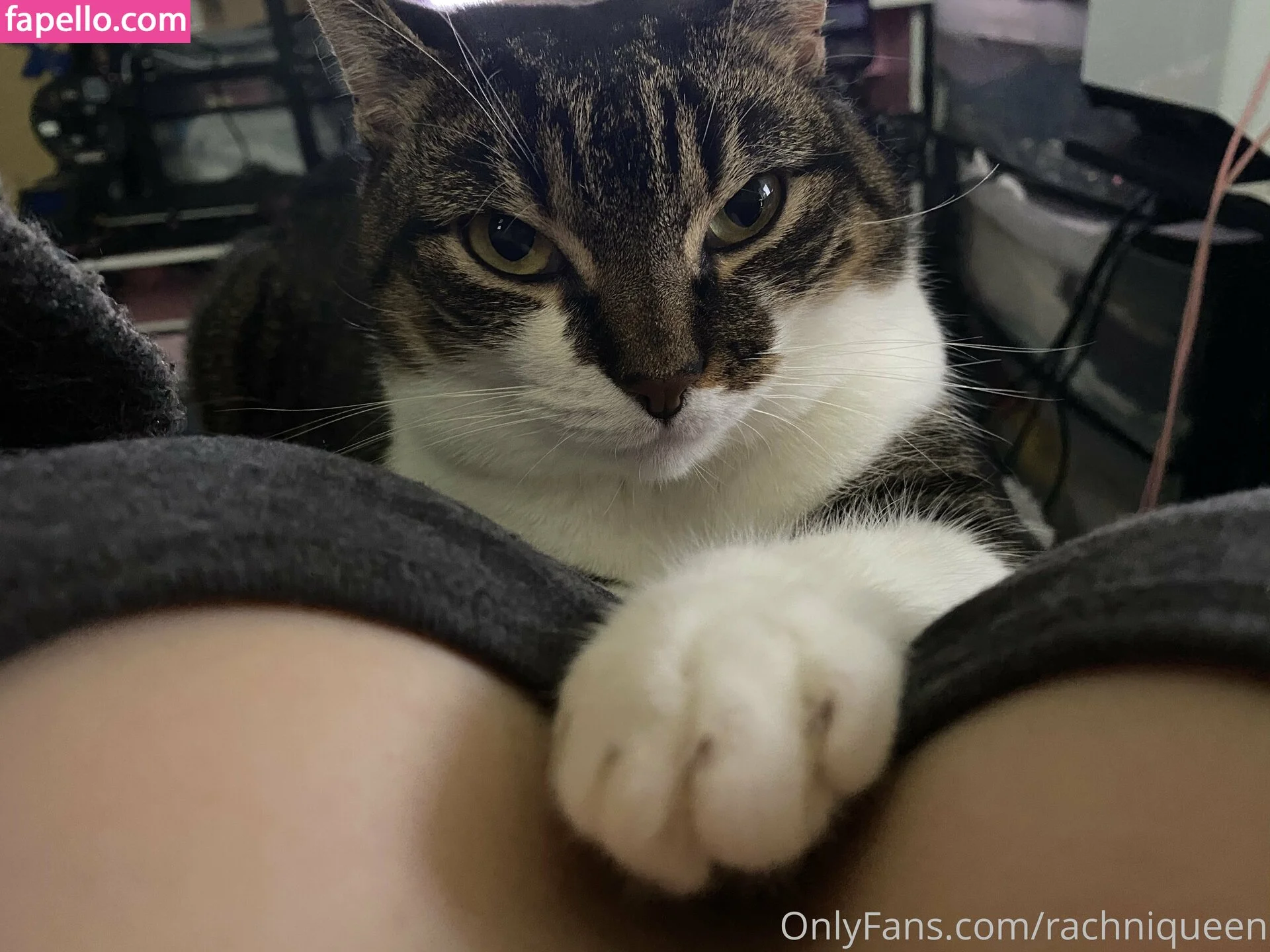 lisasayshello Onlyfans Photo Gallery 