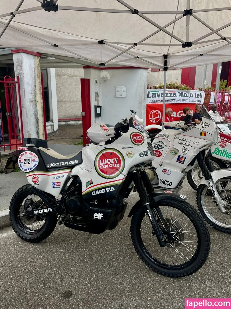 rebeccabusi33 Onlyfans Photo Gallery 