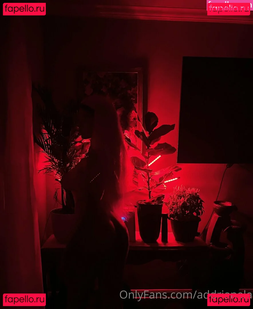 addrianala Onlyfans Photo Gallery 