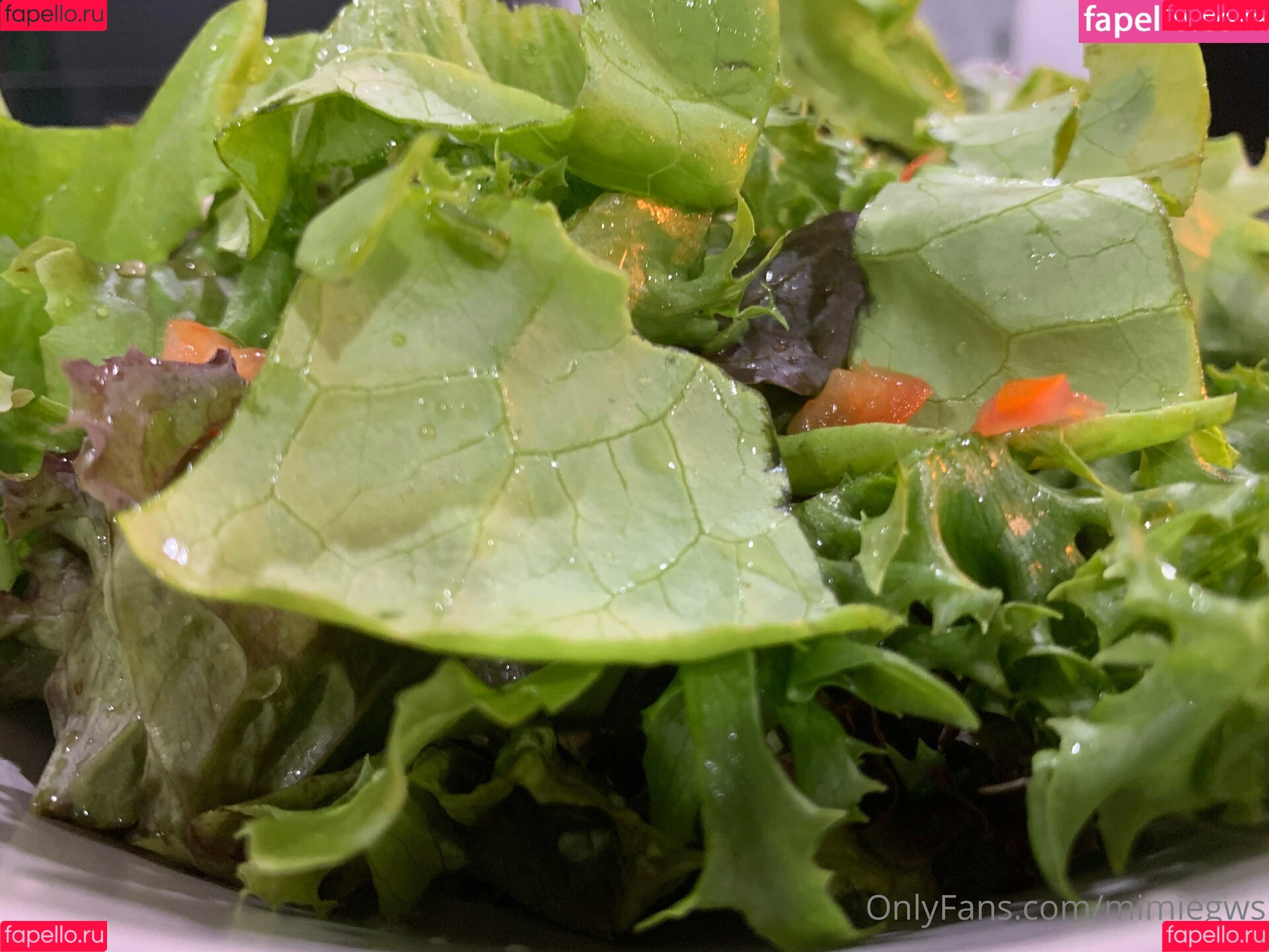 mimiegws Onlyfans Photo Gallery 