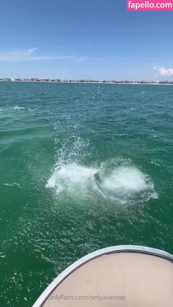 onlyavarose Onlyfans Photo Gallery 