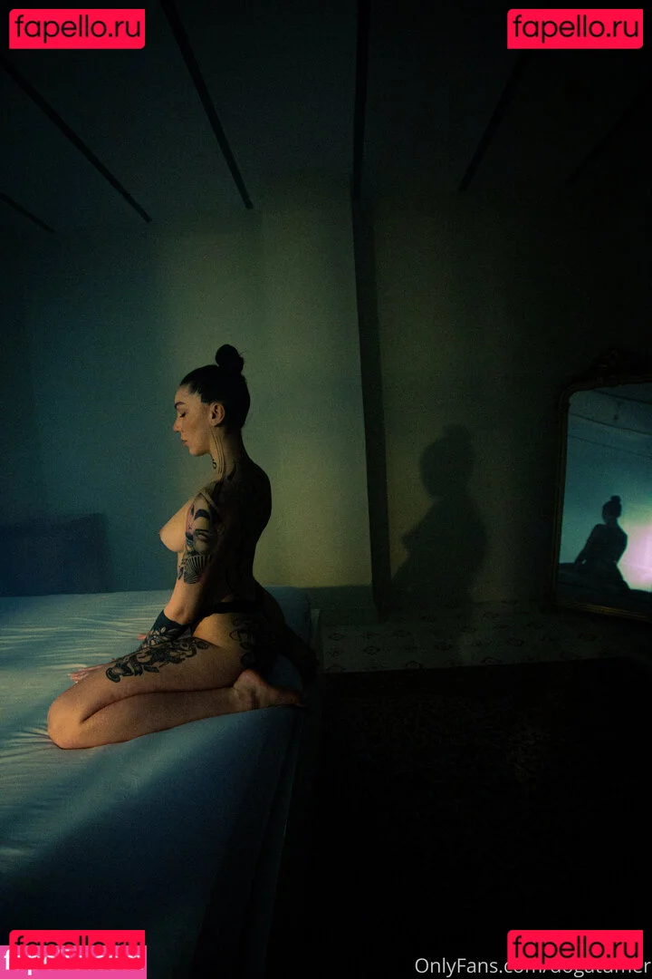 dogatumer Onlyfans Photo Gallery 