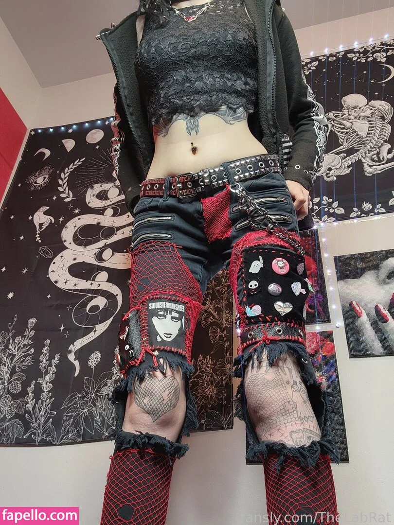 TheLabRat Onlyfans Photo Gallery 