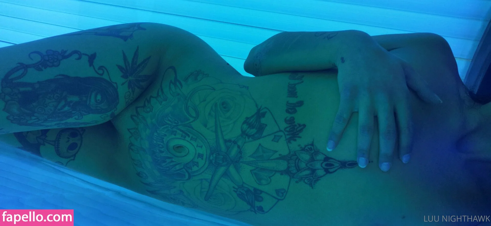 luu_nighthawk Onlyfans Photo Gallery 