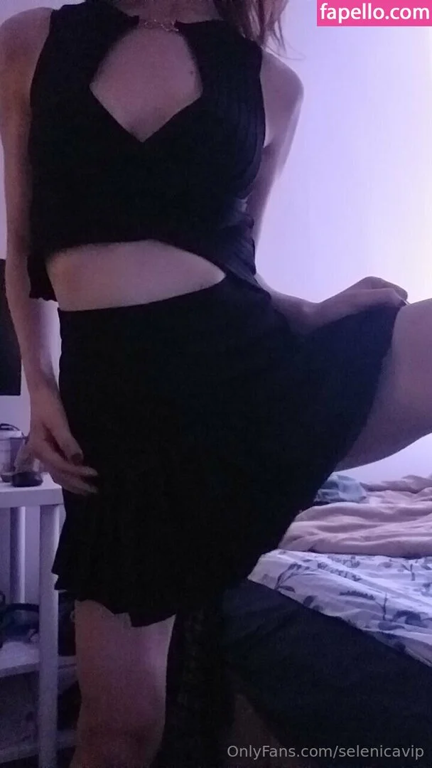 selenicavip Onlyfans Photo Gallery 