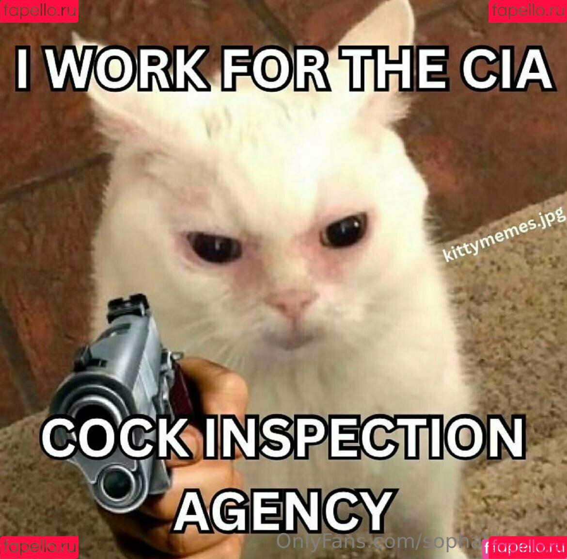 sophakingwet Onlyfans Photo Gallery 