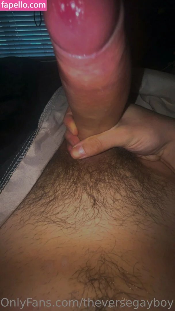 theversegayboy Onlyfans Photo Gallery 