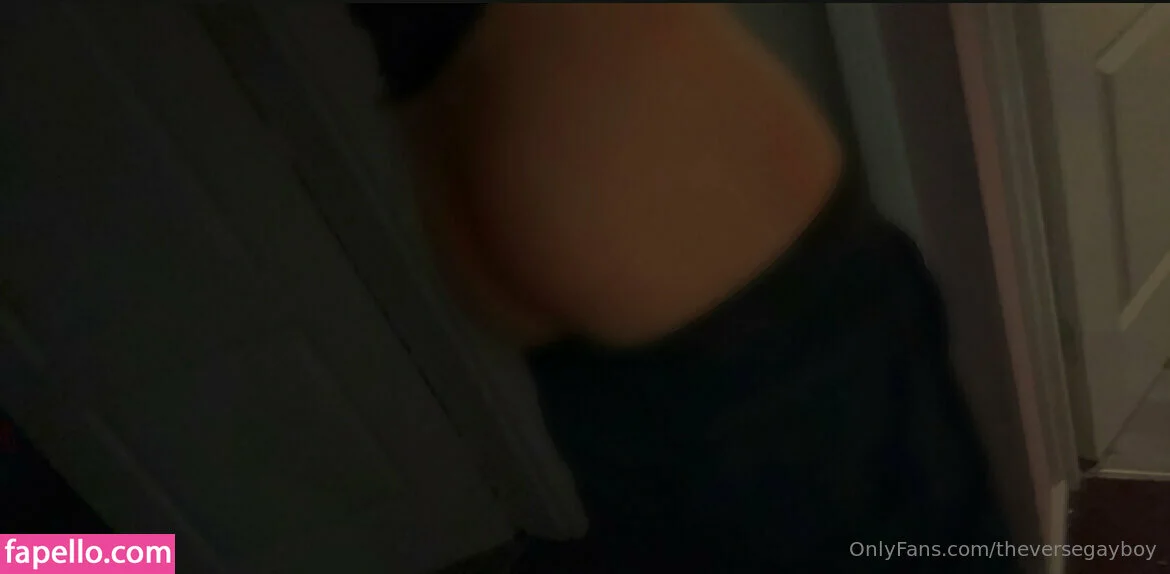 theversegayboy Onlyfans Photo Gallery 