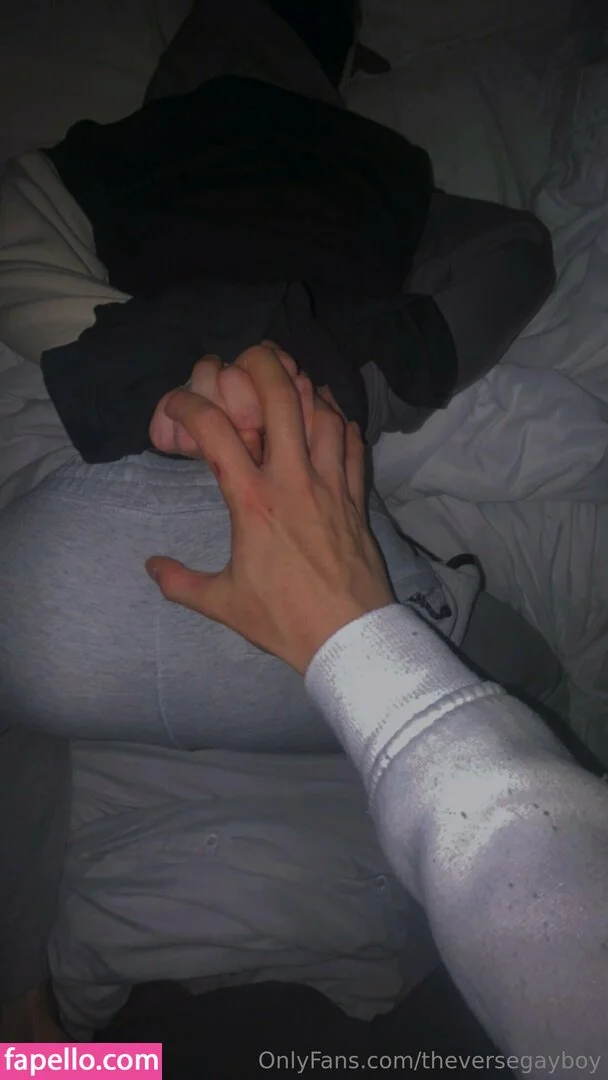 theversegayboy Onlyfans Photo Gallery 