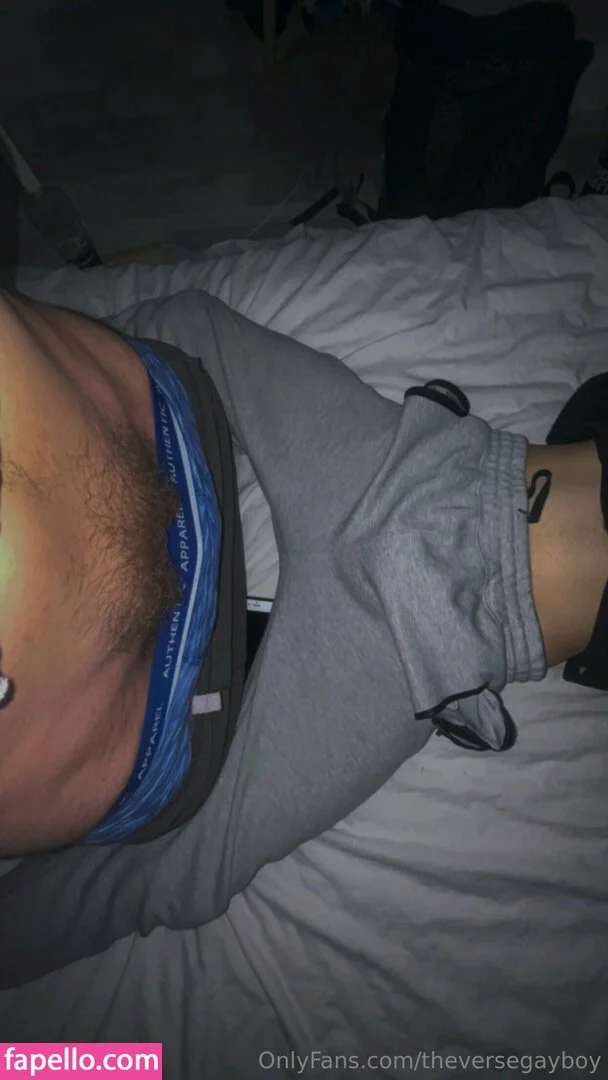 theversegayboy Onlyfans Photo Gallery 