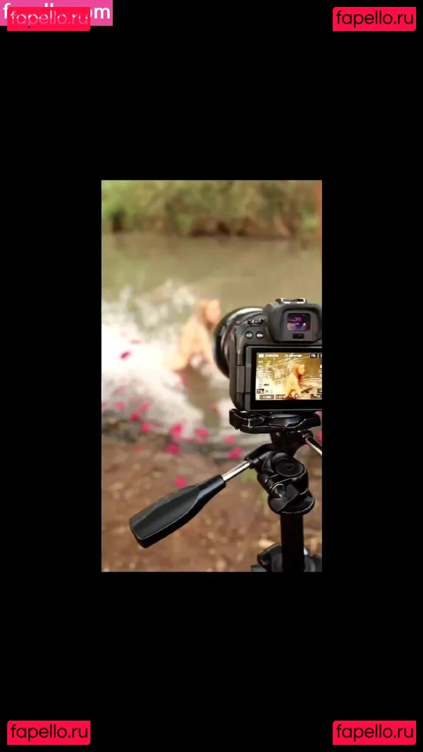 Nikol Lemme Onlyfans Photo Gallery 