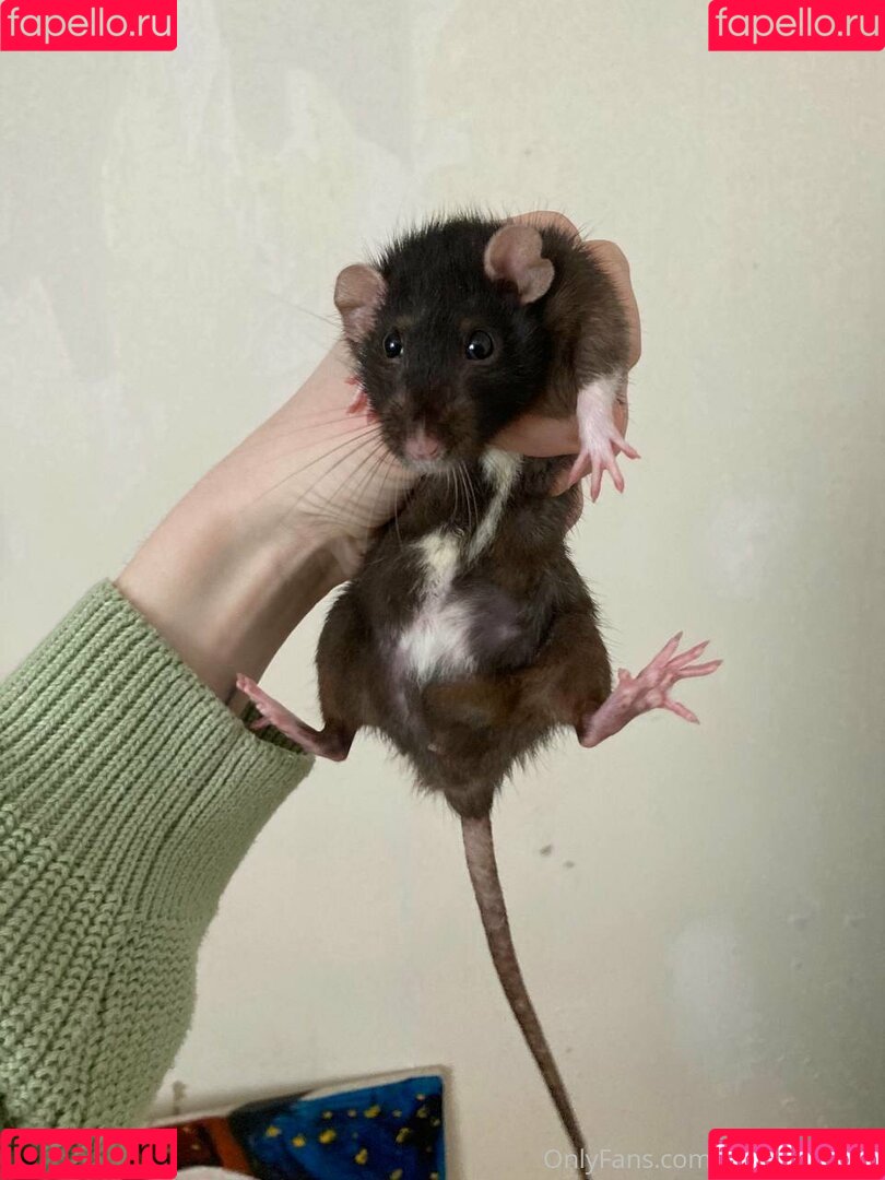 miranda_free Onlyfans Photo Gallery 