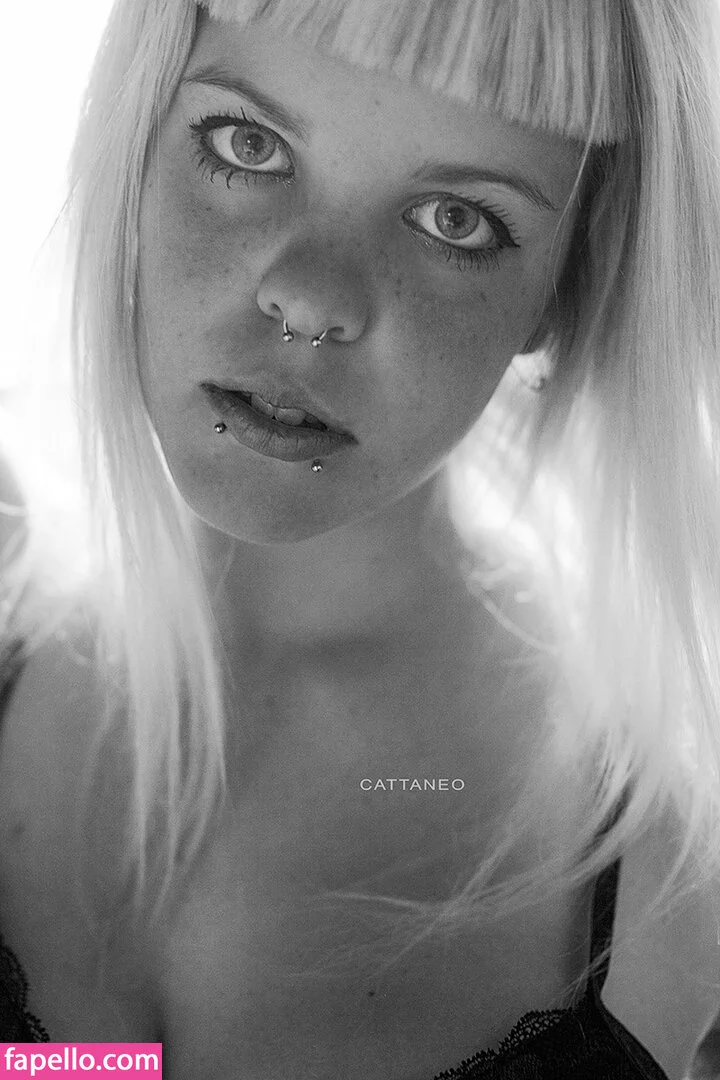 Camicristo Onlyfans Photo Gallery 