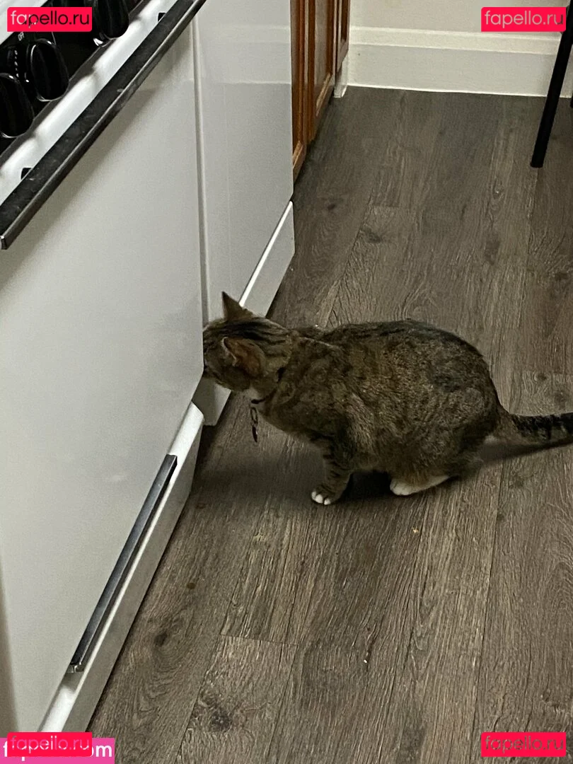 dishonestpudding Onlyfans Photo Gallery 