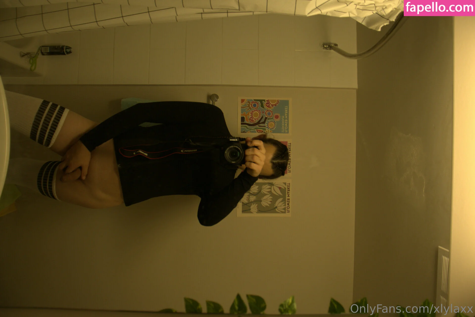 xlylaxx Onlyfans Photo Gallery 