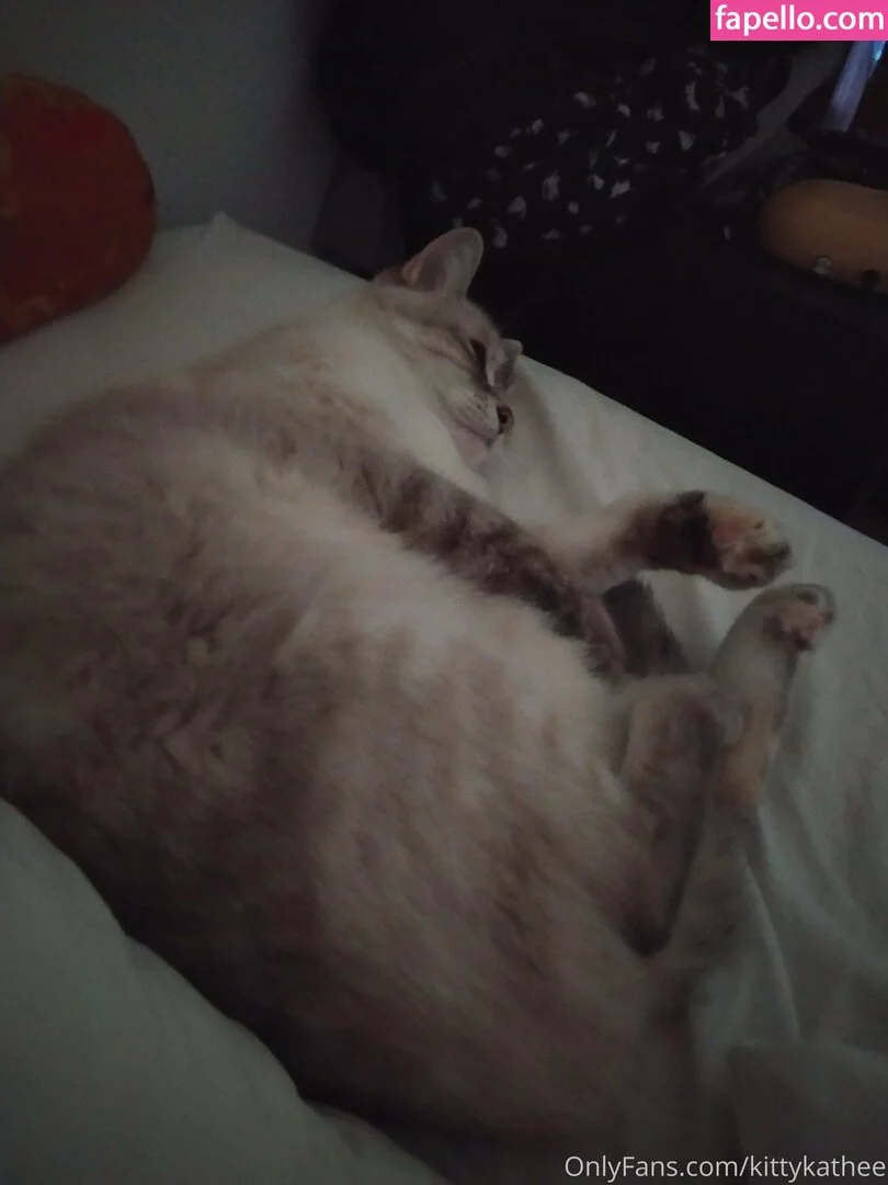 kittykathee Onlyfans Photo Gallery 