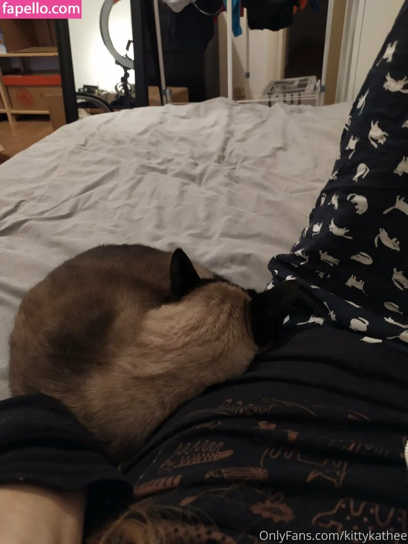 kittykathee Onlyfans Photo Gallery 