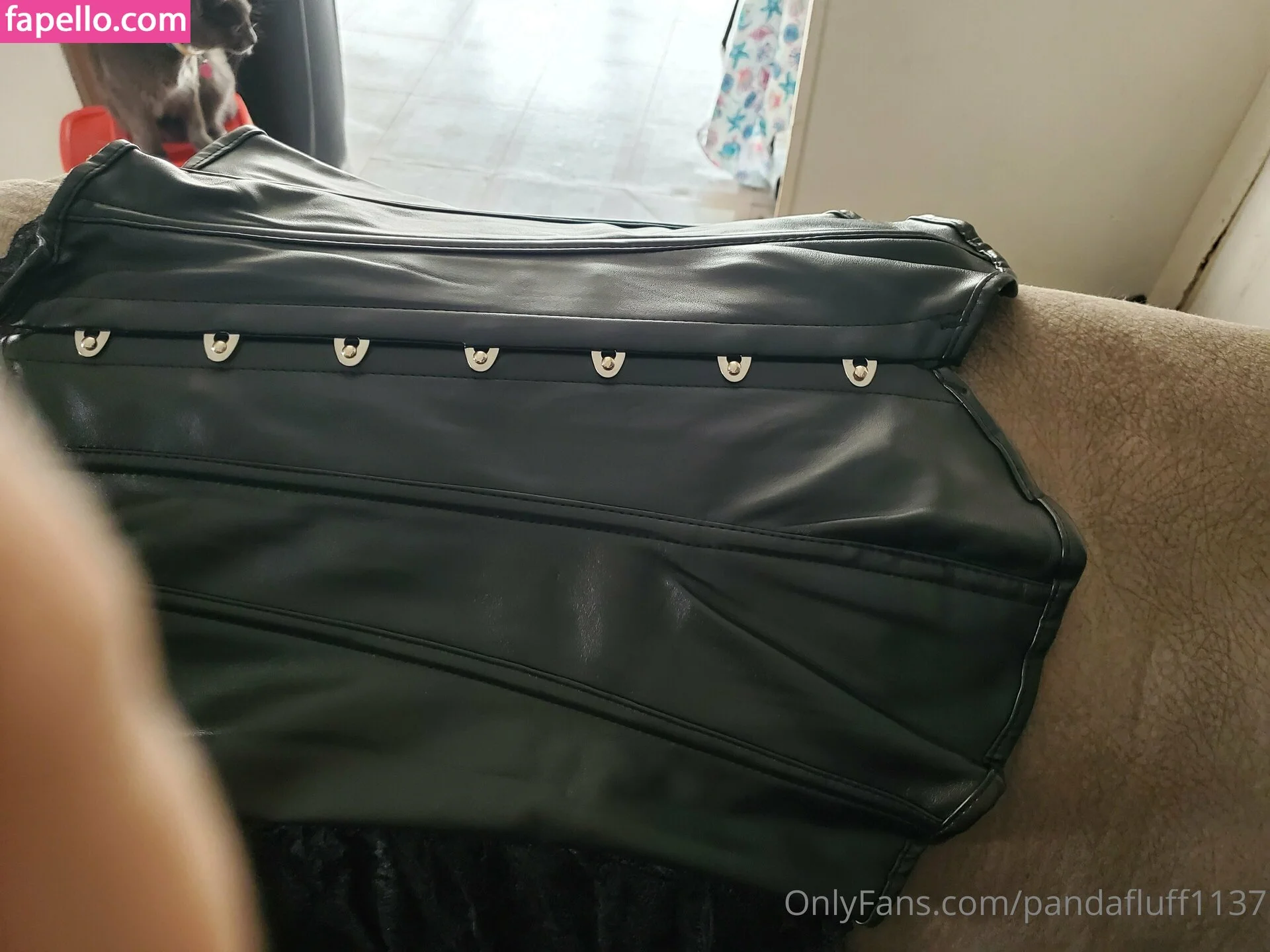 pandafluff1137 Onlyfans Photo Gallery 