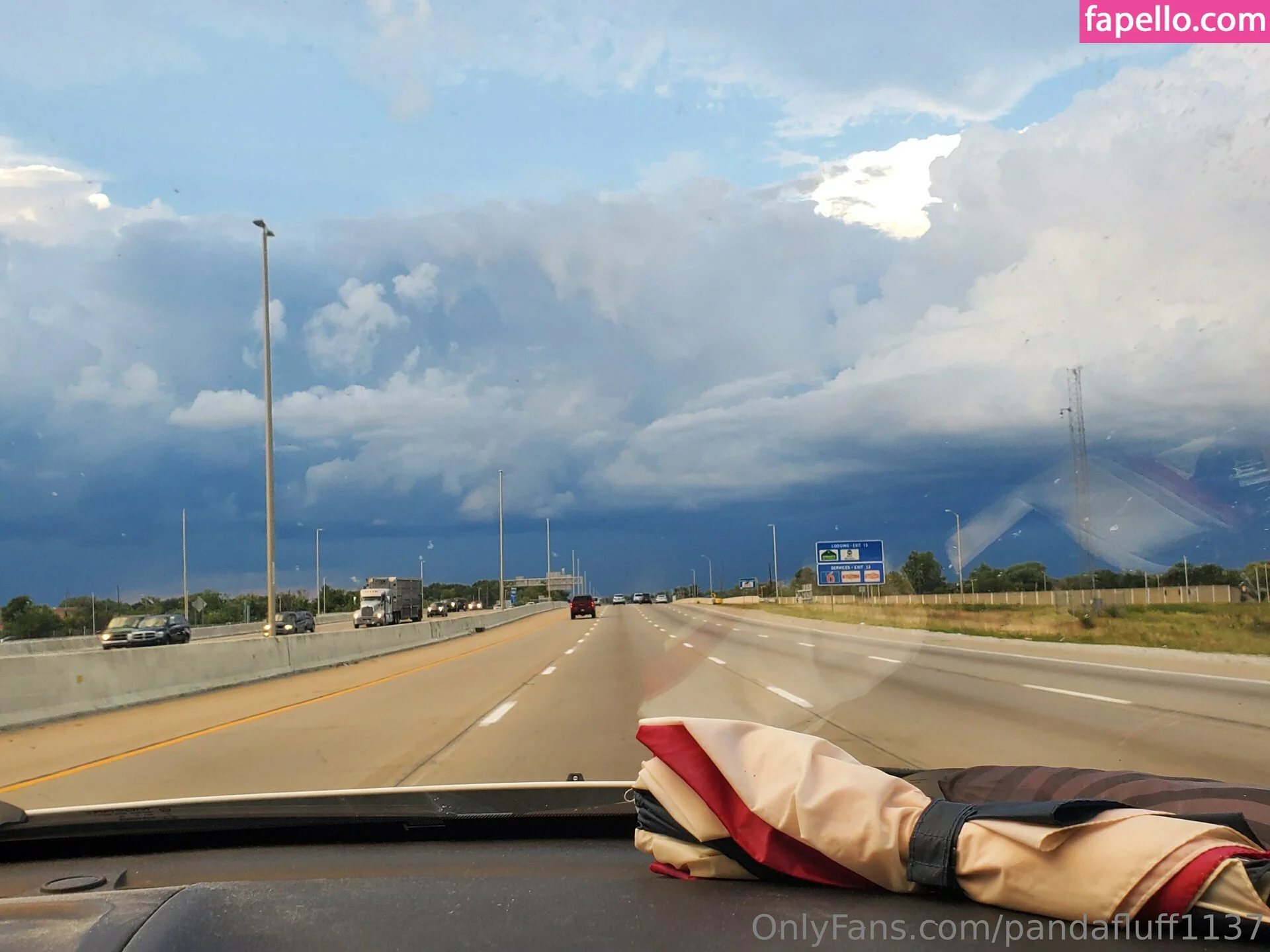 pandafluff1137 Onlyfans Photo Gallery 