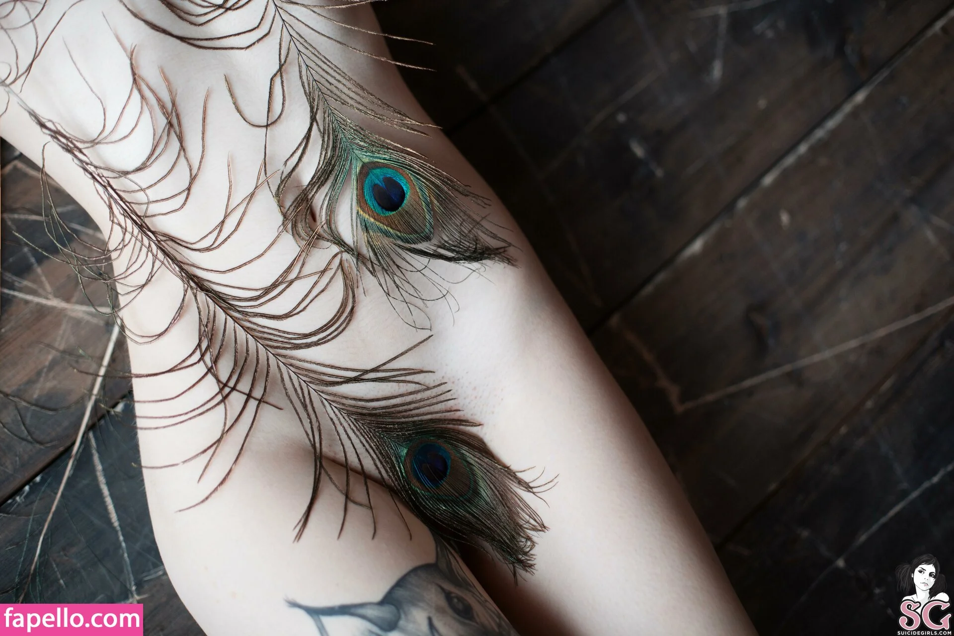 Livermorium Onlyfans Photo Gallery 