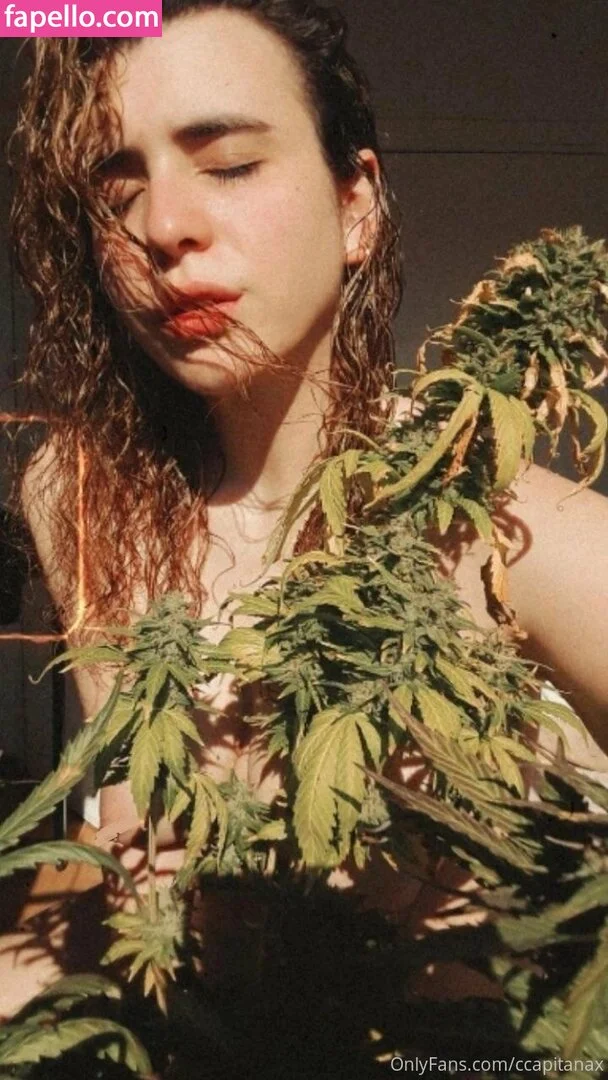 ccapitanax Onlyfans Photo Gallery 