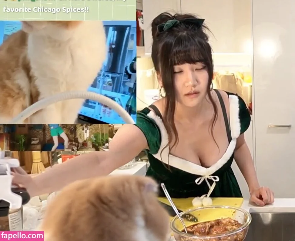 AriaSaki Onlyfans Photo Gallery 