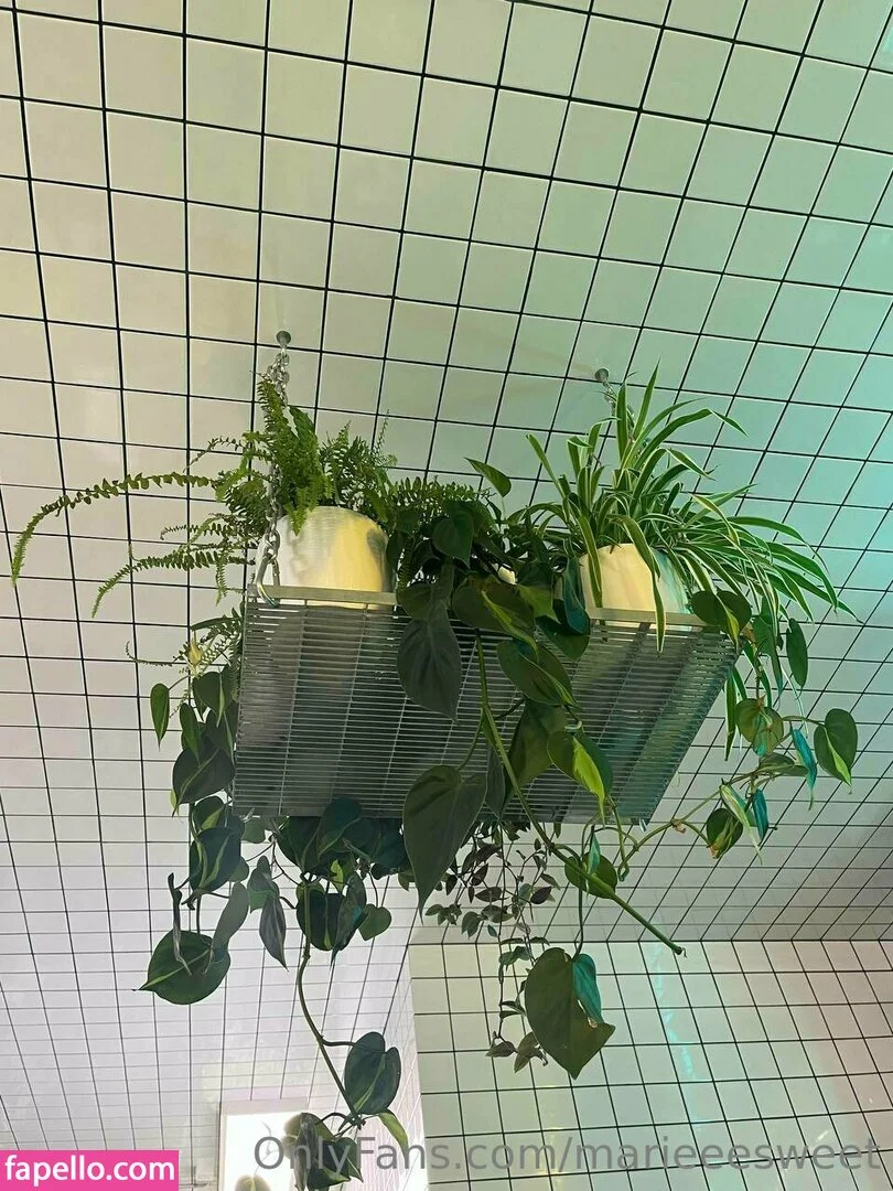 marieeesweet Onlyfans Photo Gallery 