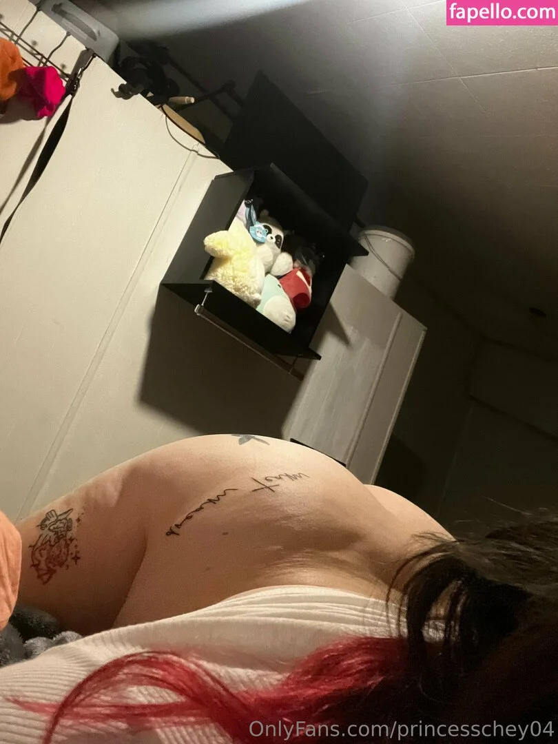 princesschey04 Onlyfans Photo Gallery 