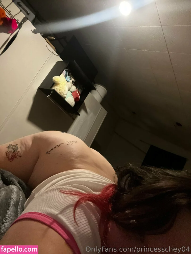 princesschey04 Onlyfans Photo Gallery 