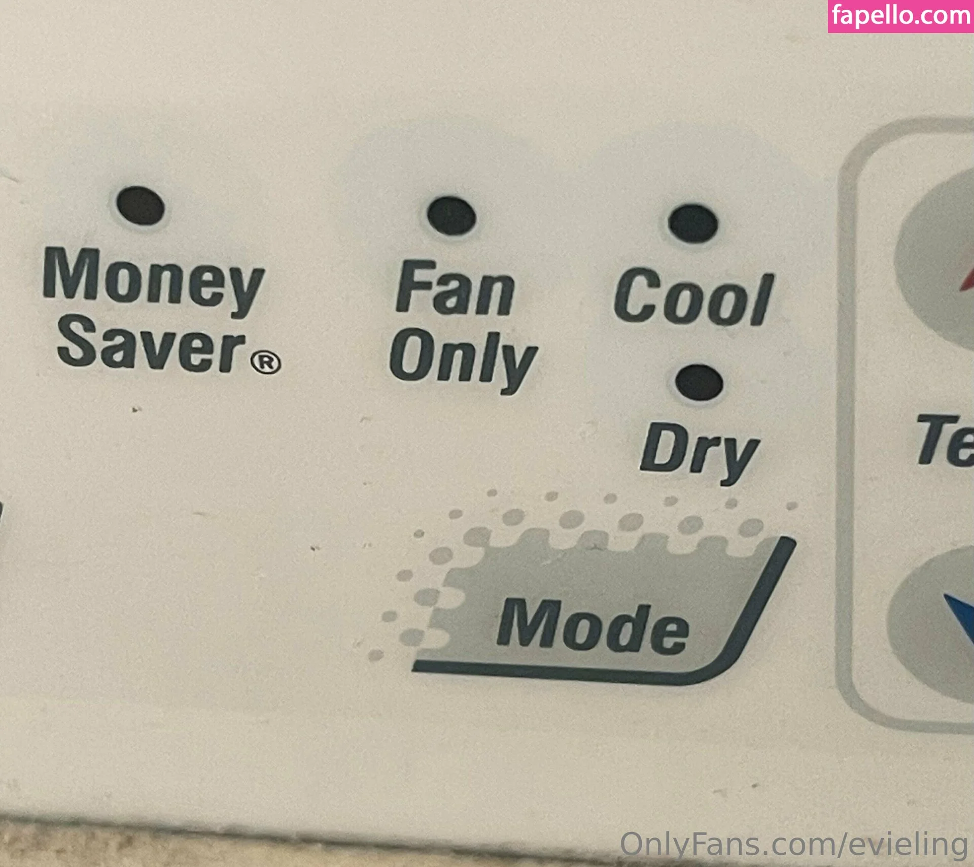 evieling Onlyfans Photo Gallery 