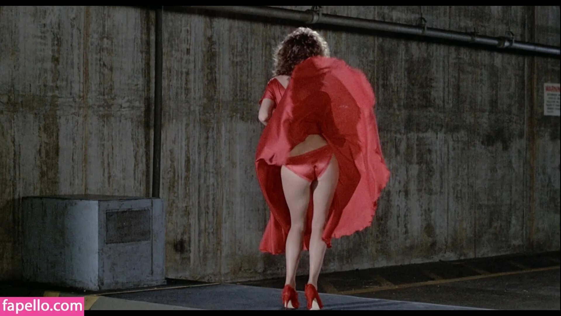 Kelly LeBrock Onlyfans Photo Gallery 