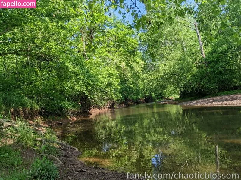 chaoticblossom Onlyfans Photo Gallery 