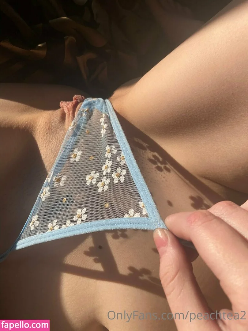 ctrlaltfae2 Onlyfans Photo Gallery 