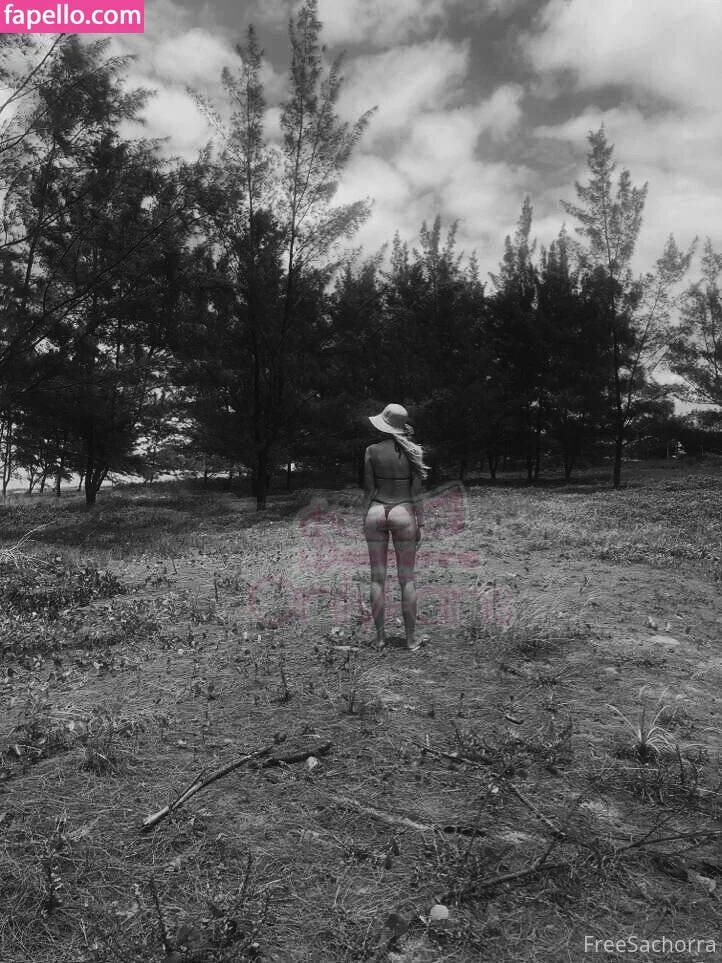 freesachorra Onlyfans Photo Gallery 