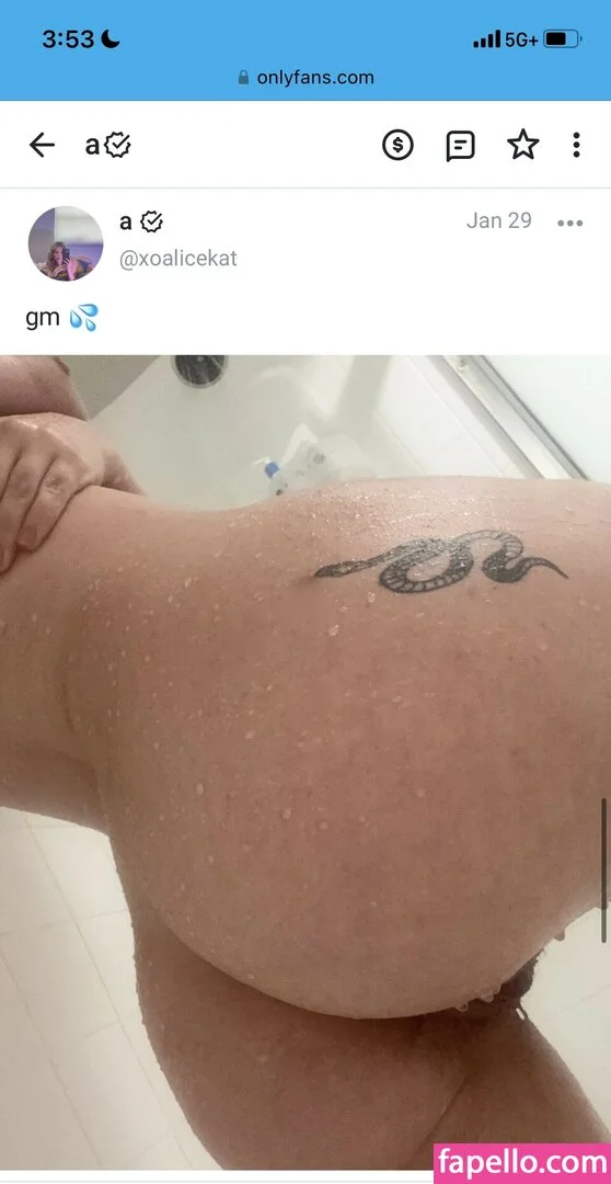 alohakailani Onlyfans Photo Gallery 