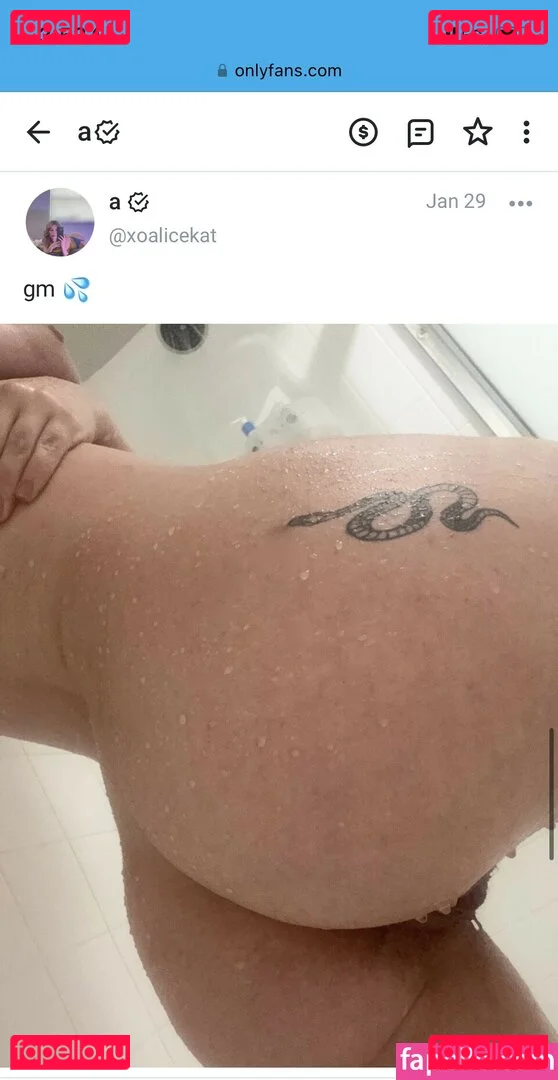 alohakailani Onlyfans Photo Gallery 