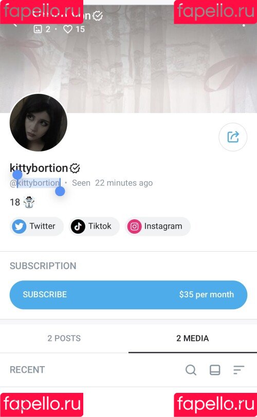 Kittybortion Onlyfans Photo Gallery 