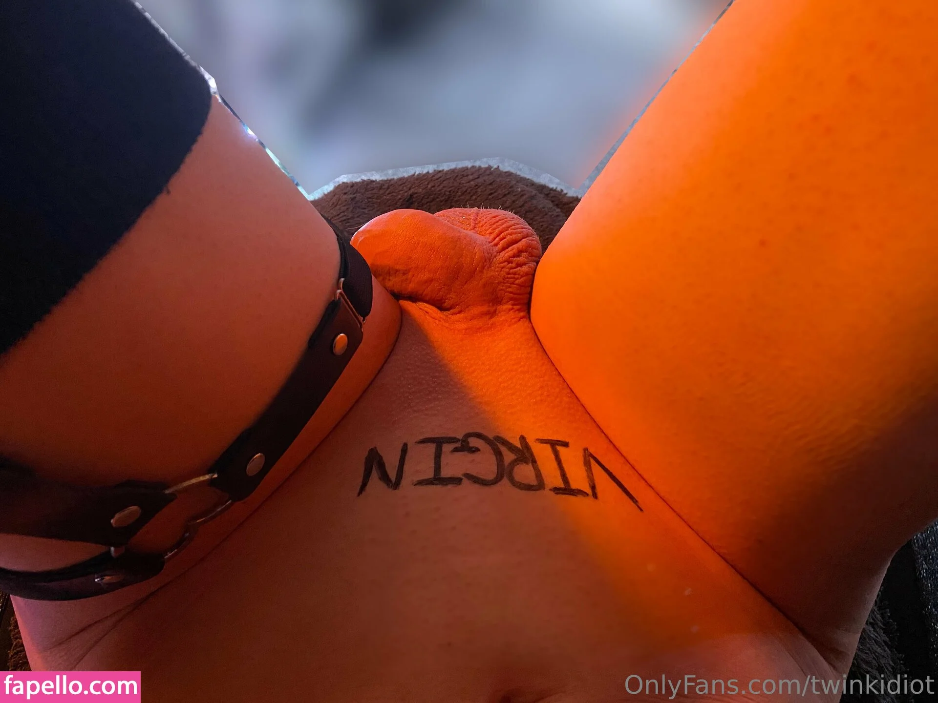 twinkidiot Onlyfans Photo Gallery 